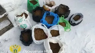 Собрал 9 кг конопли возле дома: 56‑летнего жителя Новосибирской области ждёт суд