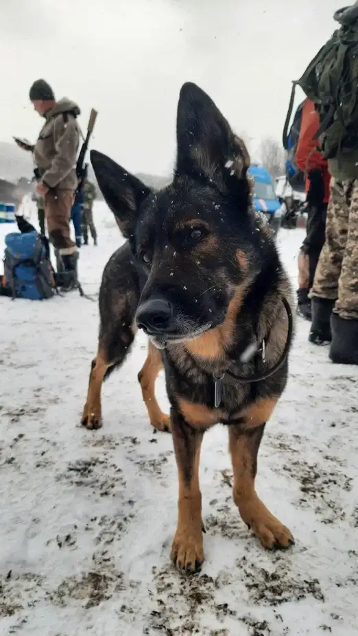 Фото: Ирина Якунина