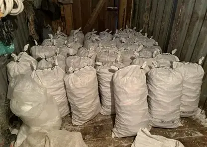 Почти полторы тонны рыбы изъяли у браконьеров на Таймыре в ходе рейдов по незаконной ловле