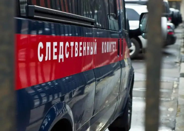 В Новосибирской области женщина порезала трёх человек