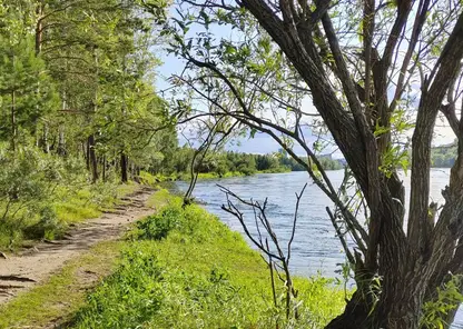 Прохладной и облачной будет новая неделя в Красноярске