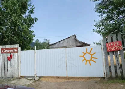 «Дом енотов» в Красноярском крае оштрафован за плохое обращение с животными