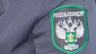 Красноярский ресторан спрятал от Россельхознадзора почти 700 кг продуктов и получил штраф