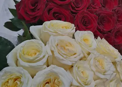 В Красноярске школьник украл букет цветов, чтобы подарить девушке