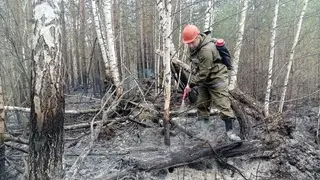 Особый противопожарный режим вводится в Красноярском крае с 20 мая на территории Енисейска и в ряде муниципальных районов