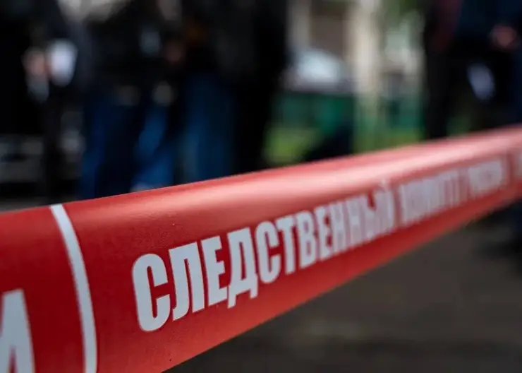 Смерть из-за грязной одежды: жительница Алтая убила знакомого, столкнув его с кровати