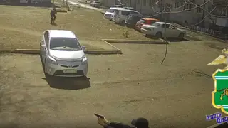 В Биробиджане мужчина с пневматическим пистолетом угрожал полицейским