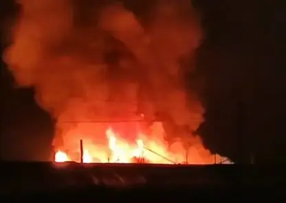 Крупный свинокомплекс с 1200 животными внутри сгорел в ночном пожаре в Забайкалье
