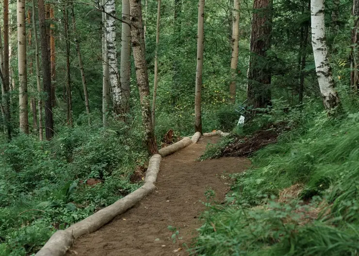 РУСАЛ и «Красноярские Столбы»: как бизнес и заповедная природа создают экологическое будущее