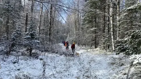 Спасатели рассказали, почему прекратили активные поиски пропавшей семьи Усольцевых в горах Красноярского края