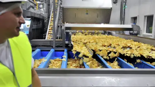 Сибирские производители нарастили экспорт картофельных чипсов на 22%