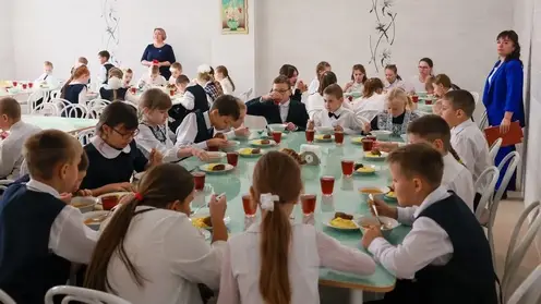 В Красноярском крае дети из многодетных семей будут бесплатно питаться в школах и техникумах