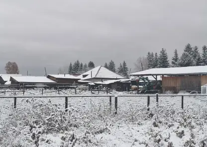 В окрестностях Красноярска выпал первый снег: смотрим фото