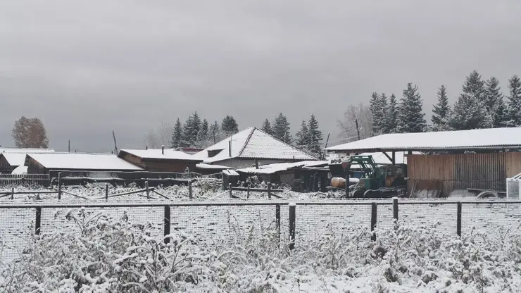 В окрестностях Красноярска выпал первый снег: смотрим фото