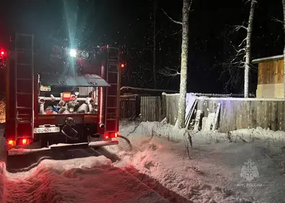 За сутки при пожарах в Красноярском крае погибли два человека