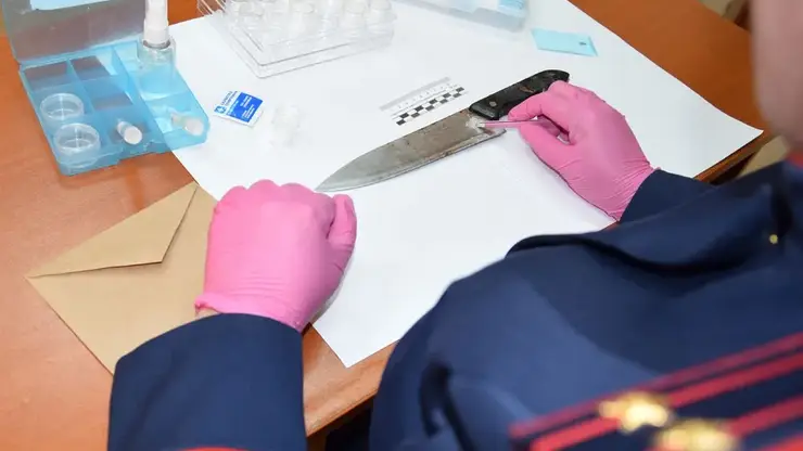 В Хабаровском крае женщина пыталась зарезать сожителя в новогодние праздники