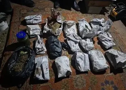 Почти полтора кило марихуаны изъяли полицейские в Минусинском округе Красноярского края