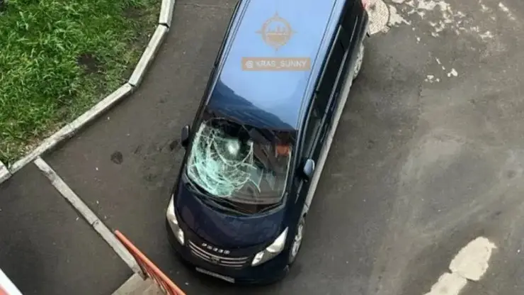 В Красноярске мейн-кун выпал из окна многоэтажки и пробил лобовое стекло машины стоящей внизу. Видео