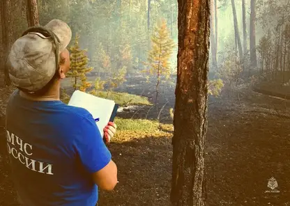 В лесных пожарах Якутии виноваты природные явления