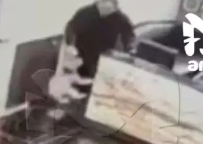 В Хабаровске хозяин жестоко избил собаку в элитном ЖК из-за лужи