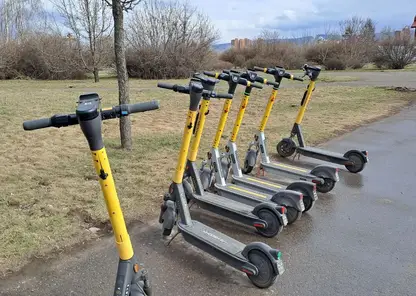 Правительство Красноярска заявило о планах оборудовать самокатные дорожки: когда их ждать