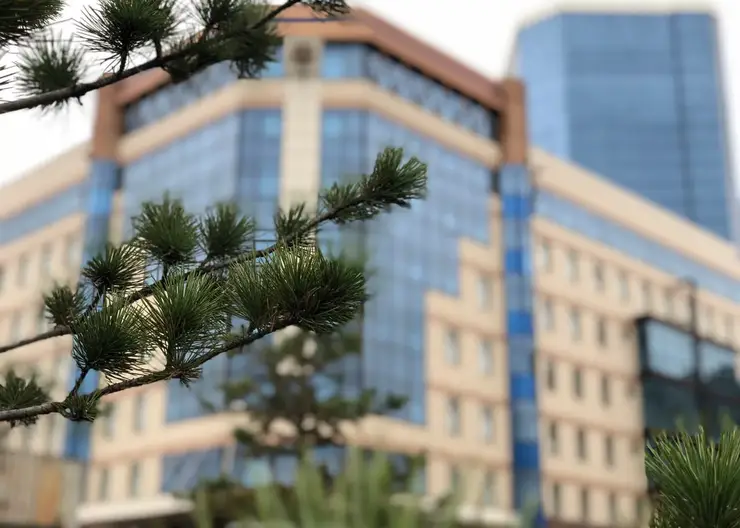 Министерство экологии Красноярского края требует взыскать 15,5 млн рублей за загрязнение почвы в Канске