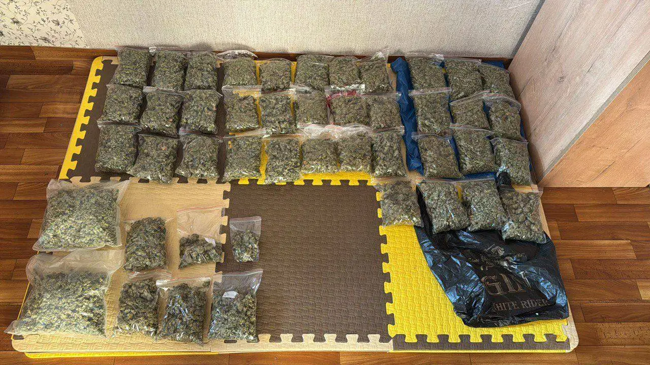 Фото: Telegram-канал «МВД 24»