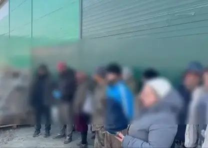 В Новосибирской области выявили свыше 400 правонарушений среди мигрантов