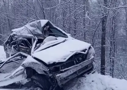 В Иркутской области в ДТП с грузовиком погиб водитель легкового автомобиля