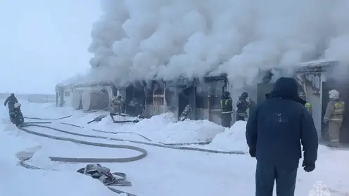 За неделю в Красноярском крае потушили 138 пожаров