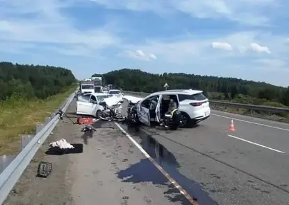 Трагедия на трассе: недомогание водителя привело к смертельному столкновению в Красноярском крае