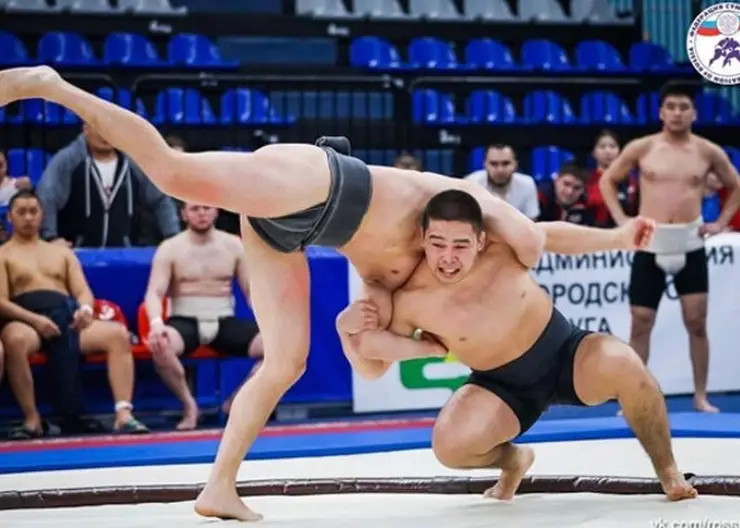 Состав сборной России по сумо определится по итогам чемпионата страны в Туве