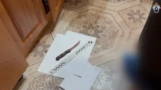 Красноярец зарезал собственную мать из-за бытового конфликта