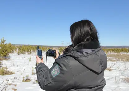 У красноярского предпринимателя изъяли почти 11 га сельхозземель за многолетнее бездействие