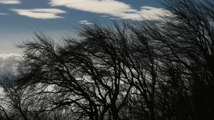 На Красноярск обрушится ураган с метелью. Когда?