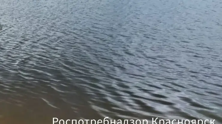 В Красноярском крае официально открыли еще одно место для купания