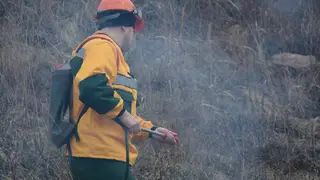 Южные территории Красноярского края готовятся к пожароопасному сезону Южные территории Красноярского края готовятся к пожароопасному сезону