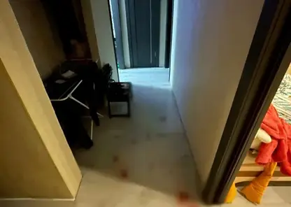 Жительница Южно-Сахалинска подозревается в убийстве сожителя, она ударила его ножом в пах