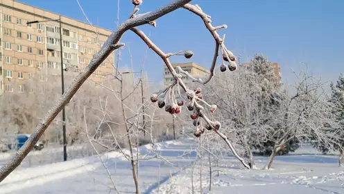 Снежно и морозно. Прогноз погоды на 28 января в Красноярске