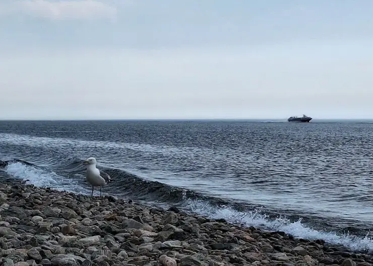 В Красноярском крае за сутки утонули два человека
