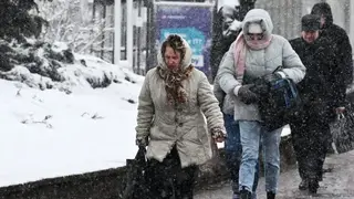 Красноярский Роспотребнадзор рассказал, как бороться с депрессией