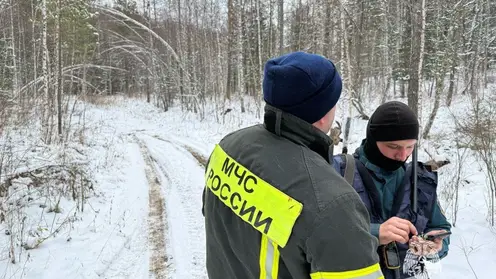 Во время поисков пропавшей семьи в Красноярском крае специалисты обошли 4830 км лесных дорог