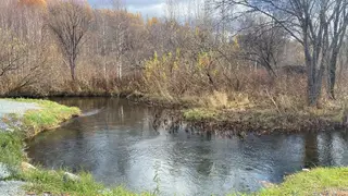 «Дикое место с банькой»:  пропавшая семья в горах Красноярском края делилась деталями предстоящей поездки