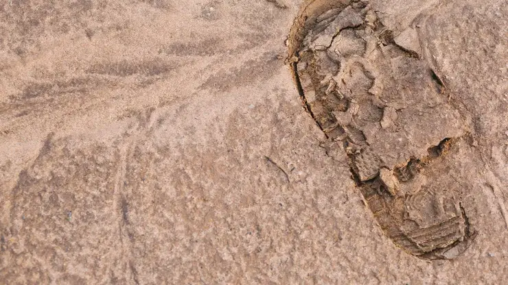 Красноярские археологи рассказали о малоизвестной коллекции редких ножей