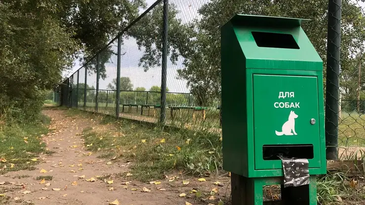 Три догбокса установили в красноярском Татышев-парке