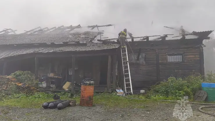 12 пожаров потушили в Красноярском крае за сутки