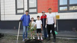 Представители «Единой России» высадили деревья во дворе красноярской школы в День эколога