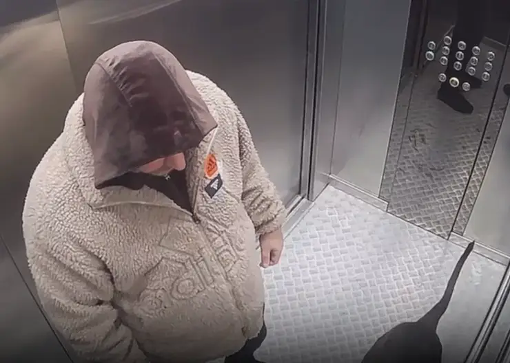 В Красноярске мужчину обвиняют в избиении собаки. Соседи требуют спасти животное