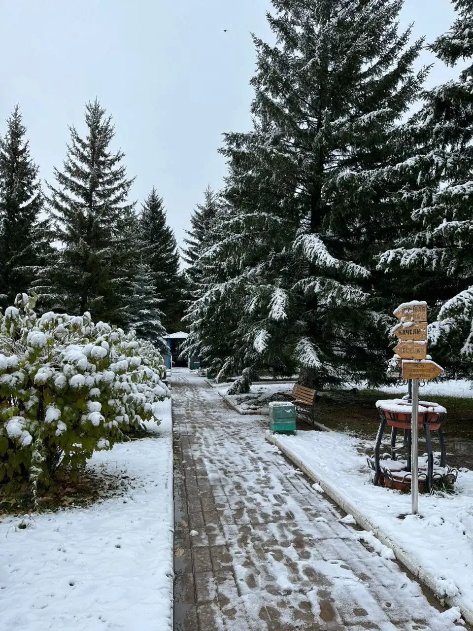 Фото: #кобзевнасвязи / Telegram