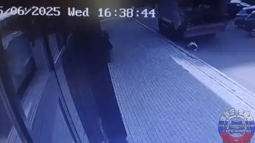 Красноярский водитель мусоровоза, сбивший насмерть пенсионерку был под наркотиками